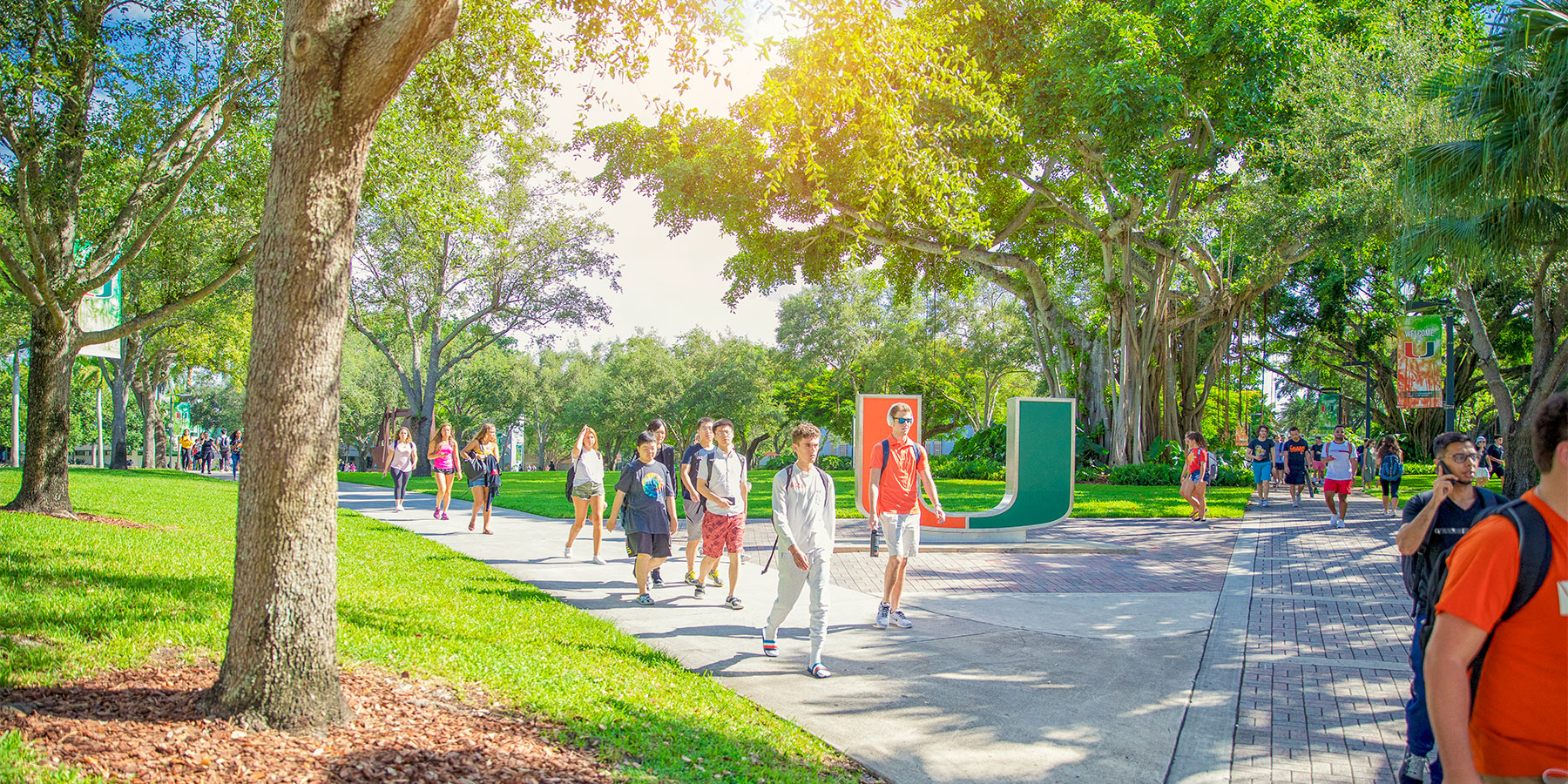 Traditions  University of Miami