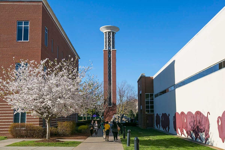 University Requirements + Data CollegeVine