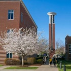 Lipscomb University campus image