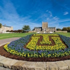 The University of Tulsa campus image