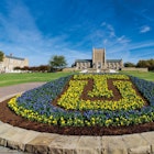University of Tulsa campus image