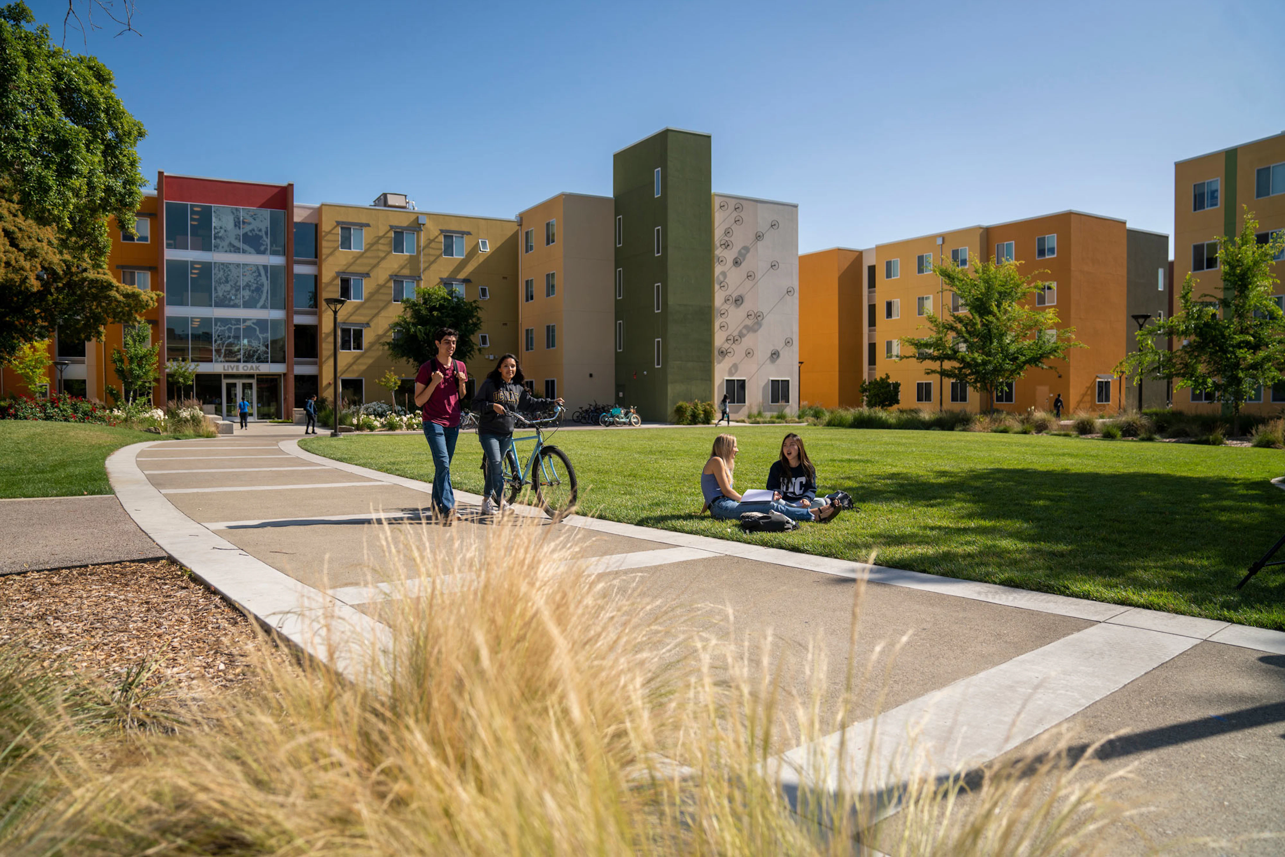University of California, Davis | UC Davis - Requirements + Data