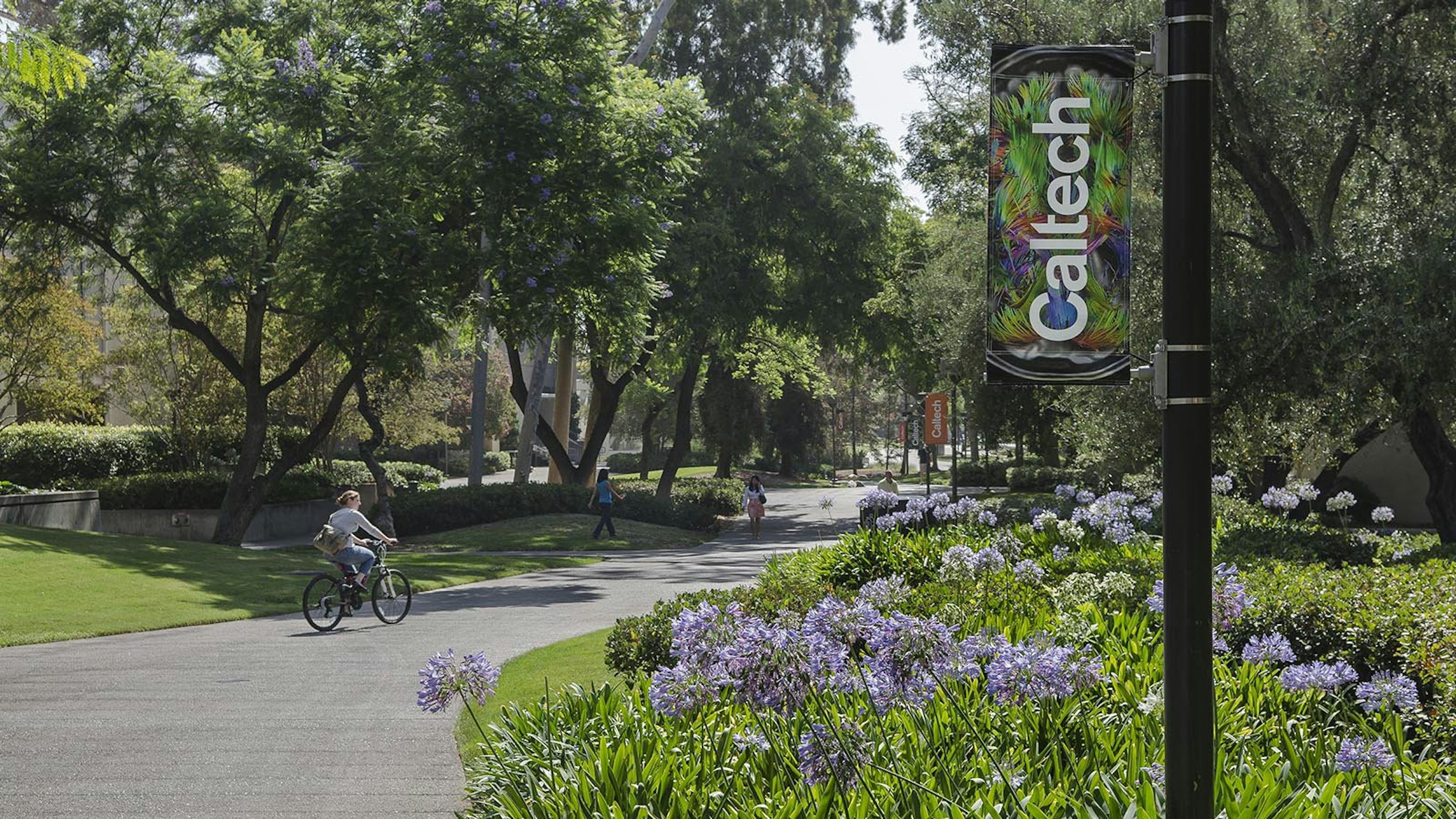 All 29 majors at California Institute of Technology | Caltech | CollegeVine