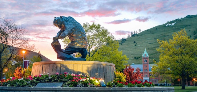 University of Montana's 2020-21 Essay Prompts - CollegeVine