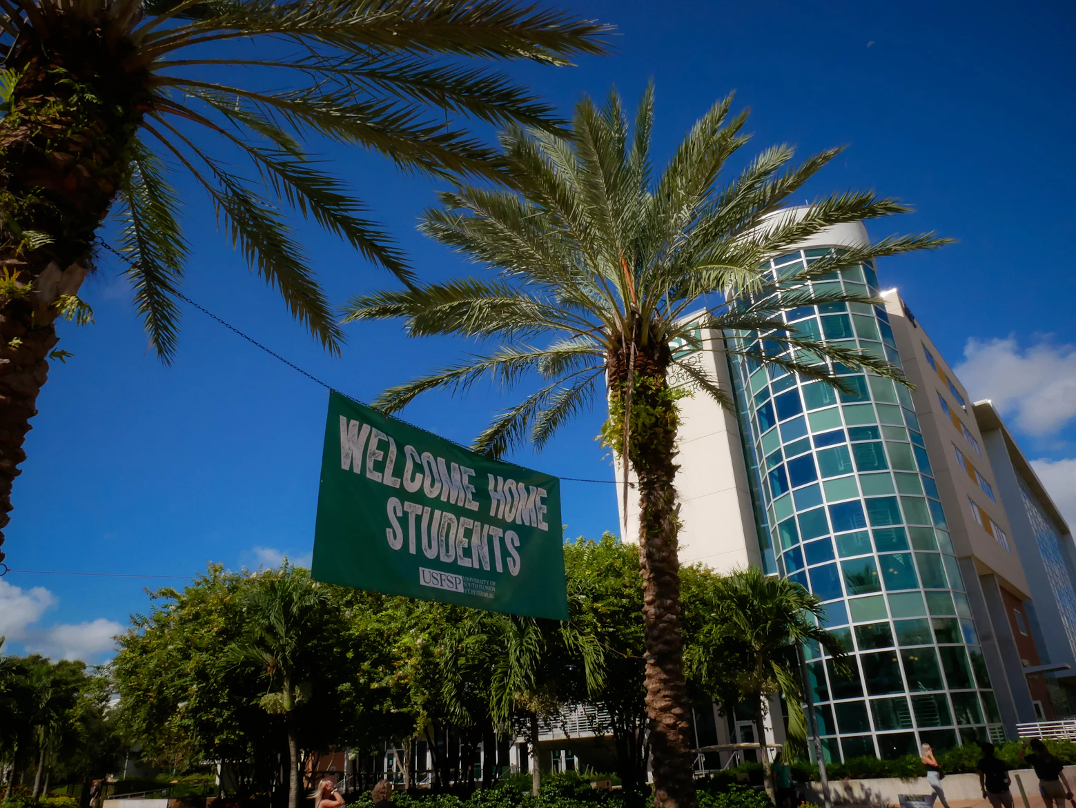 University of South Florida-St Petersburg - Requirements + Data ...