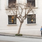 San Francisco Conservatory of Music campus image