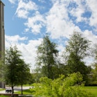 University of California, Riverside | UC Riverside campus image