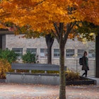 The State University of New York at Purchase | SUNY Purchase campus image