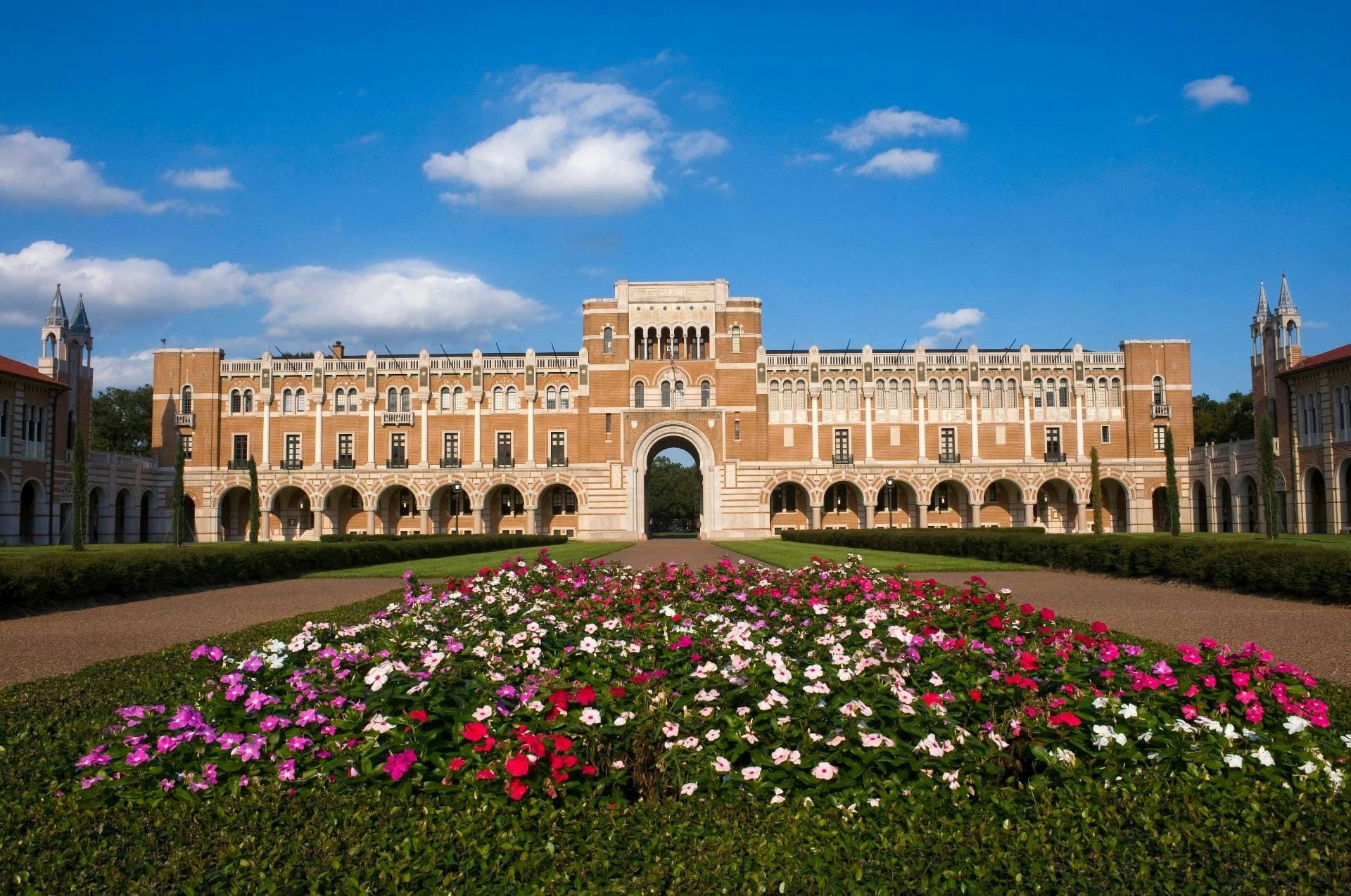 Rice University Requirements   Data CollegeVine Rice University Requirements   Data CollegeVine