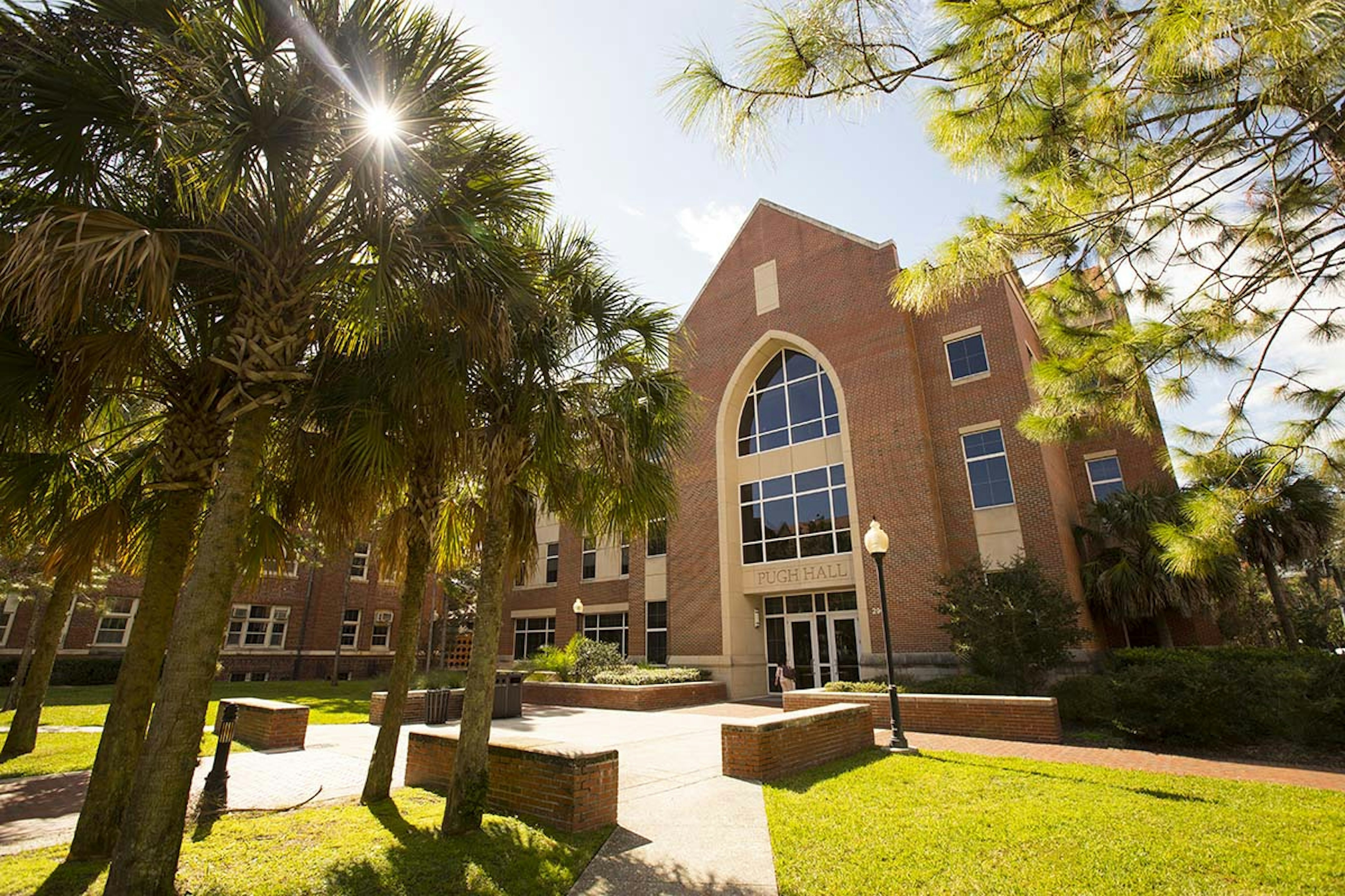 All 102 majors at University of Florida CollegeVine