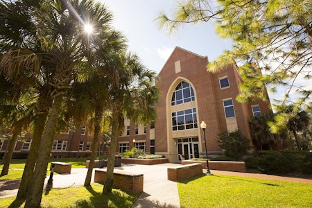 university of florida honors college essay
