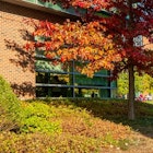 Worcester Polytechnic Institute | WPI campus image