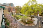 Stevens Institute of Technology campus image