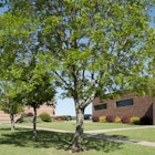 Randall University campus image