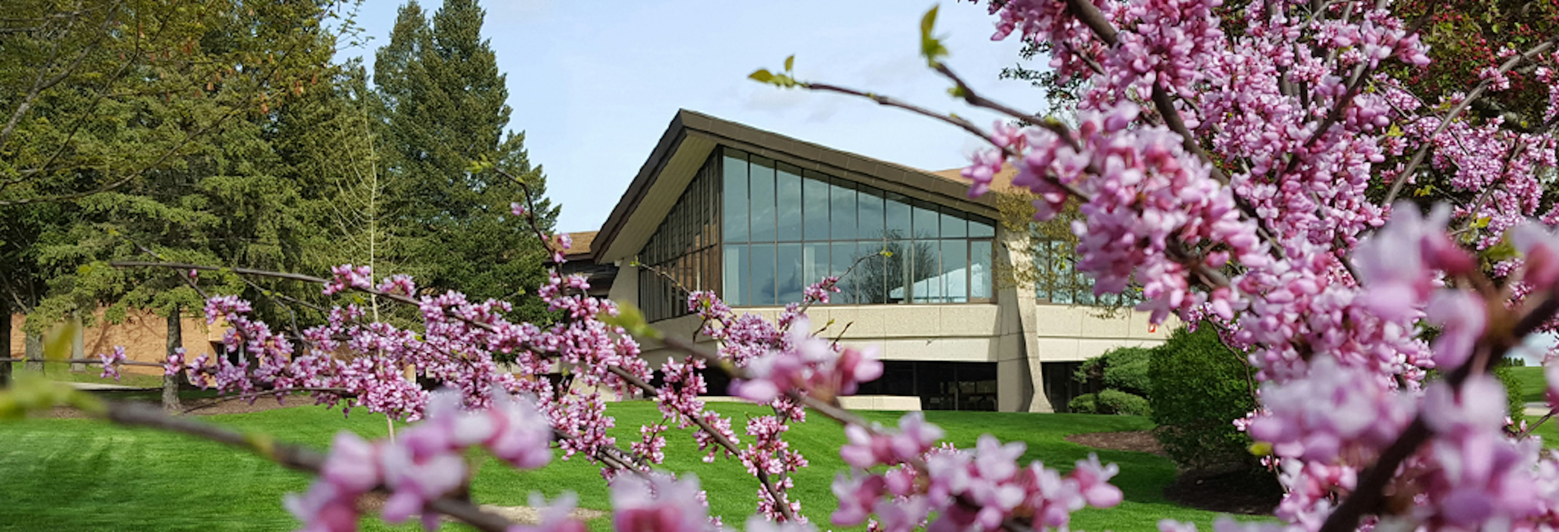 Rockford University Requirements + Data CollegeVine