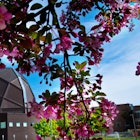 University of Minnesota Duluth | UMD campus image