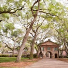 College of Charleston (South Carolina) campus image