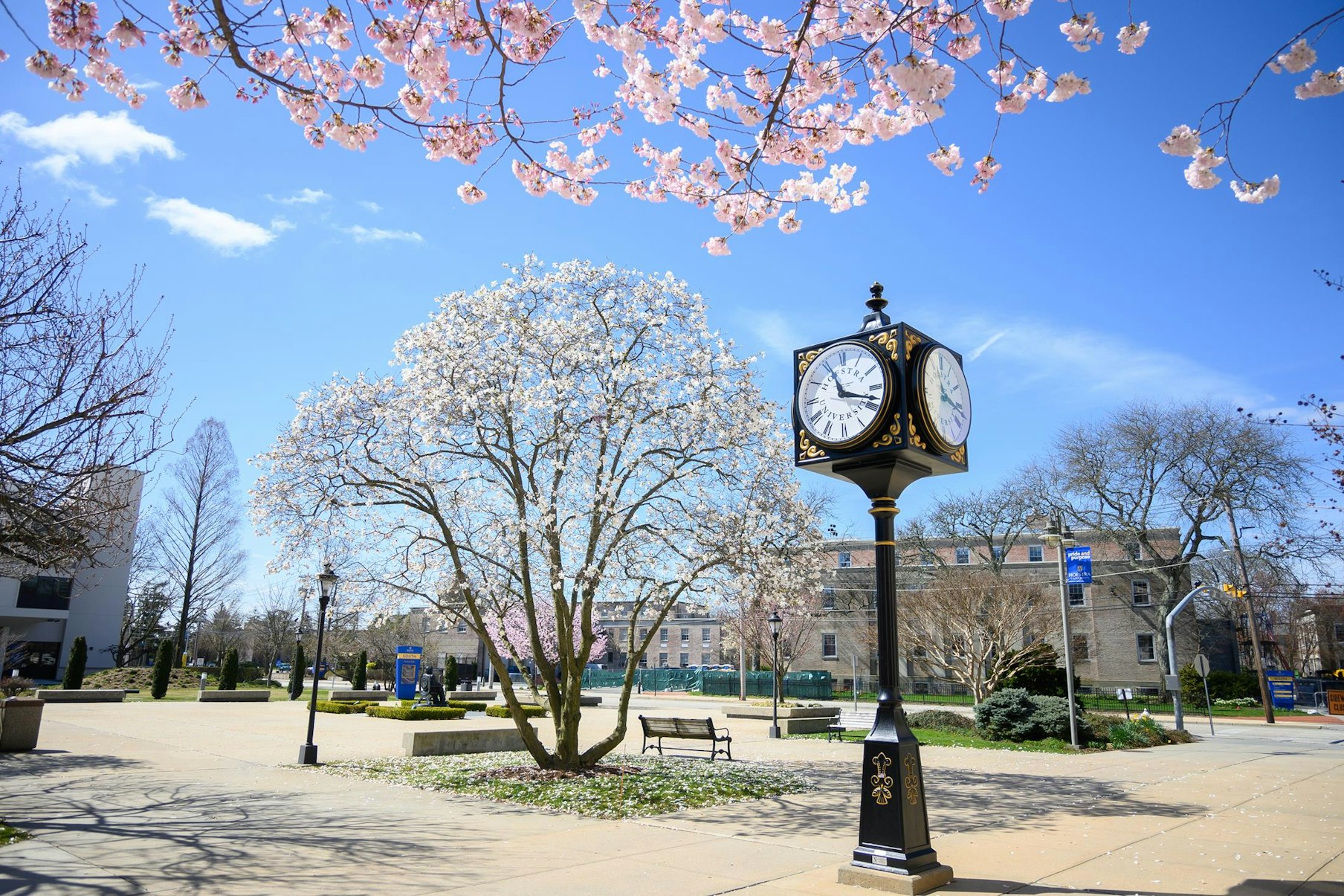 Hofstra University Requirements + Data CollegeVine