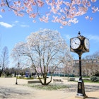 Hofstra University campus image