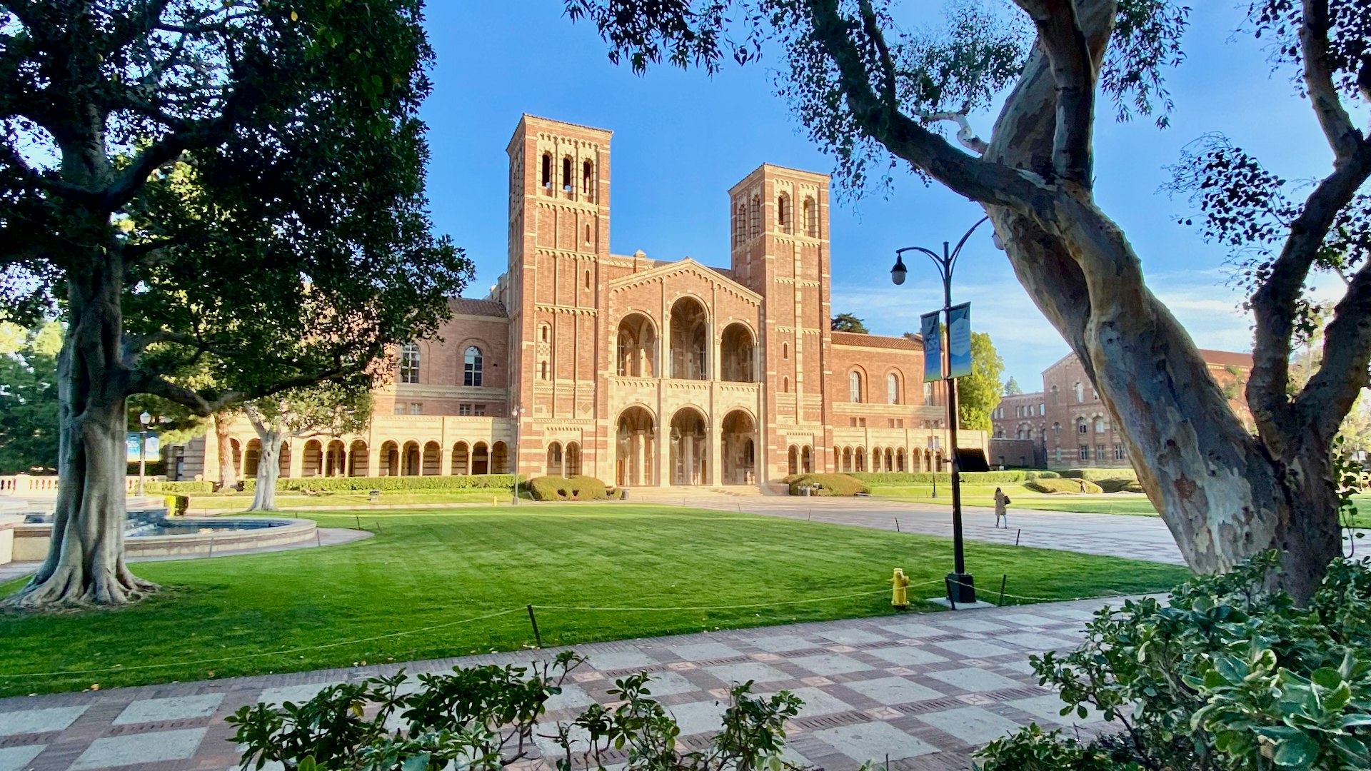 does ucla require college essay