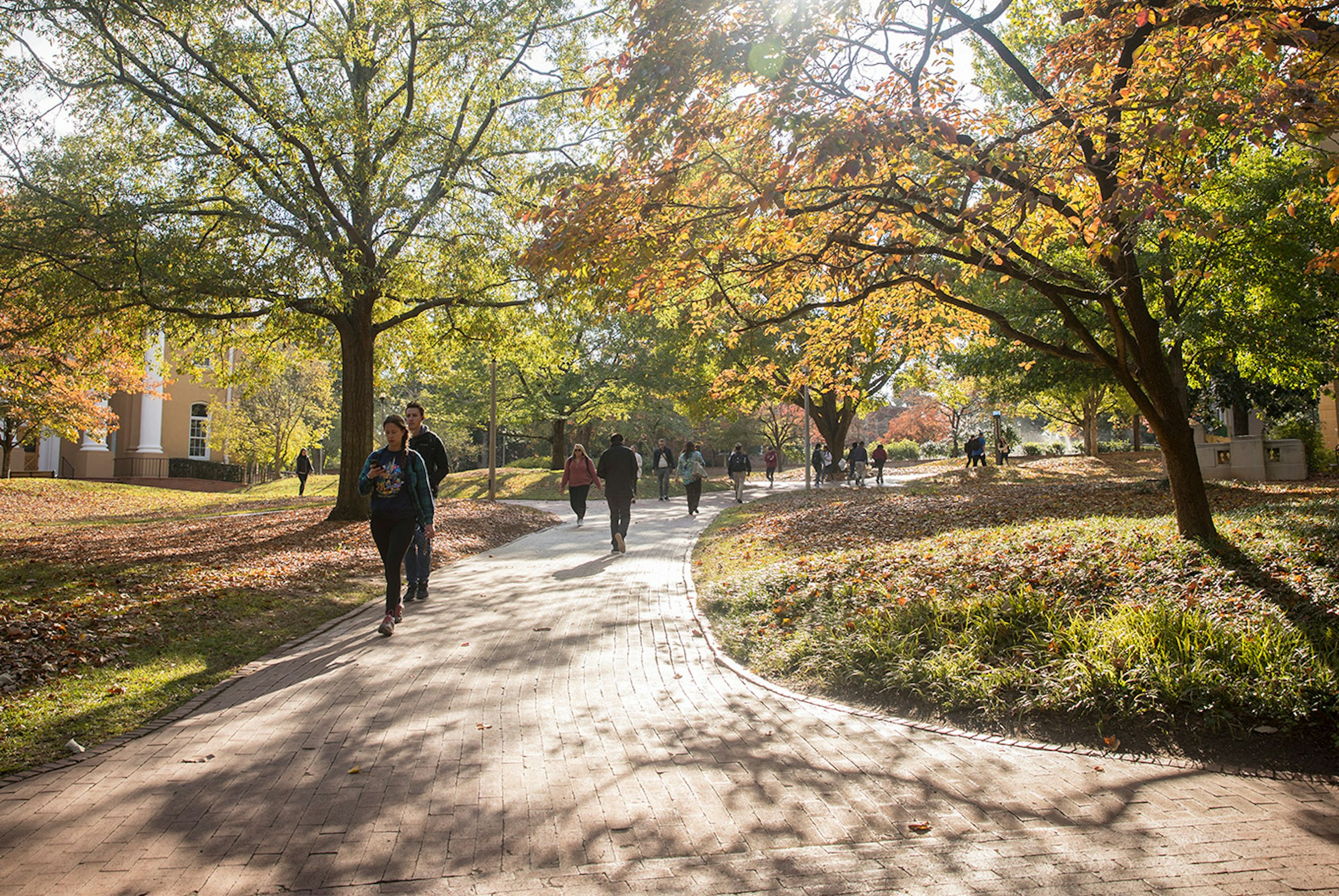 usc supplemental essays collegevine