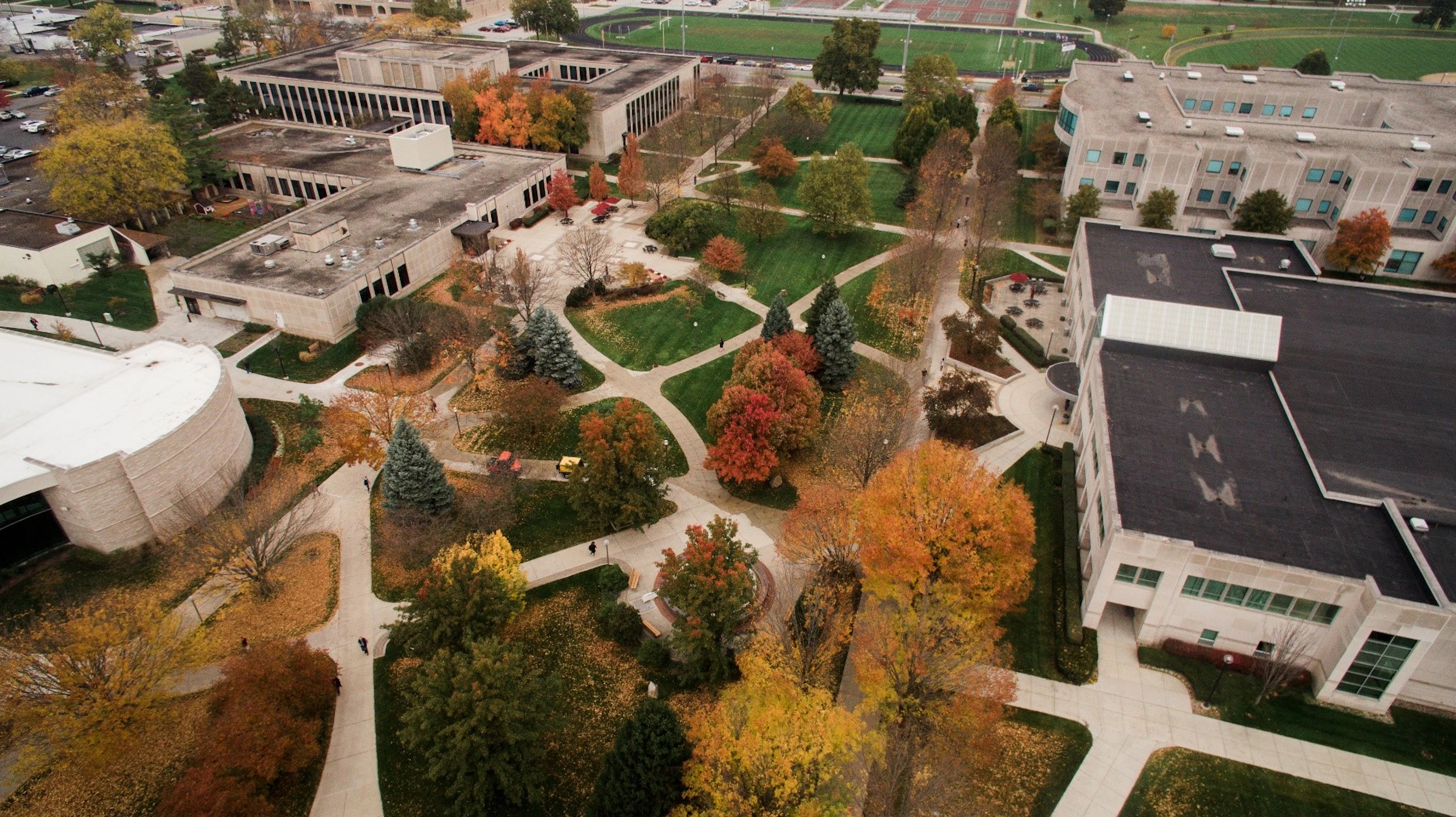CollegeVine