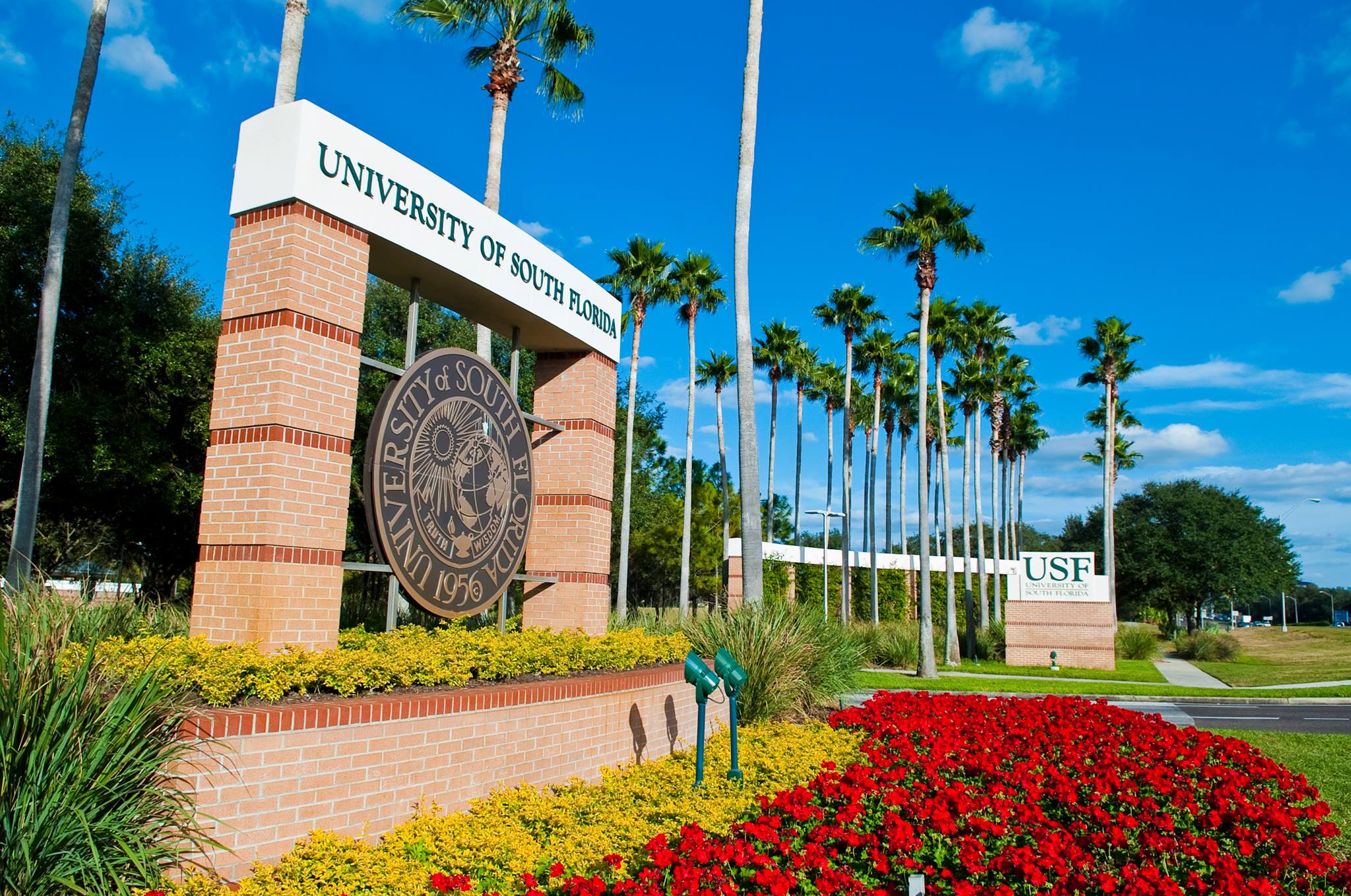 University of South Florida | USF Admission Requirements | CollegeVine