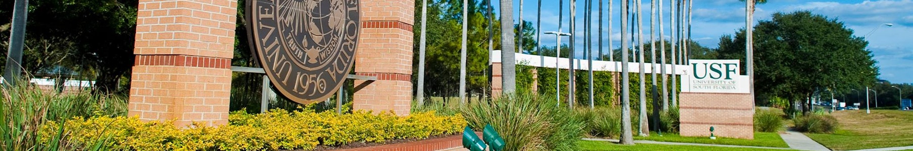 University of South Florida | USF - Requirements + Data | CollegeVine