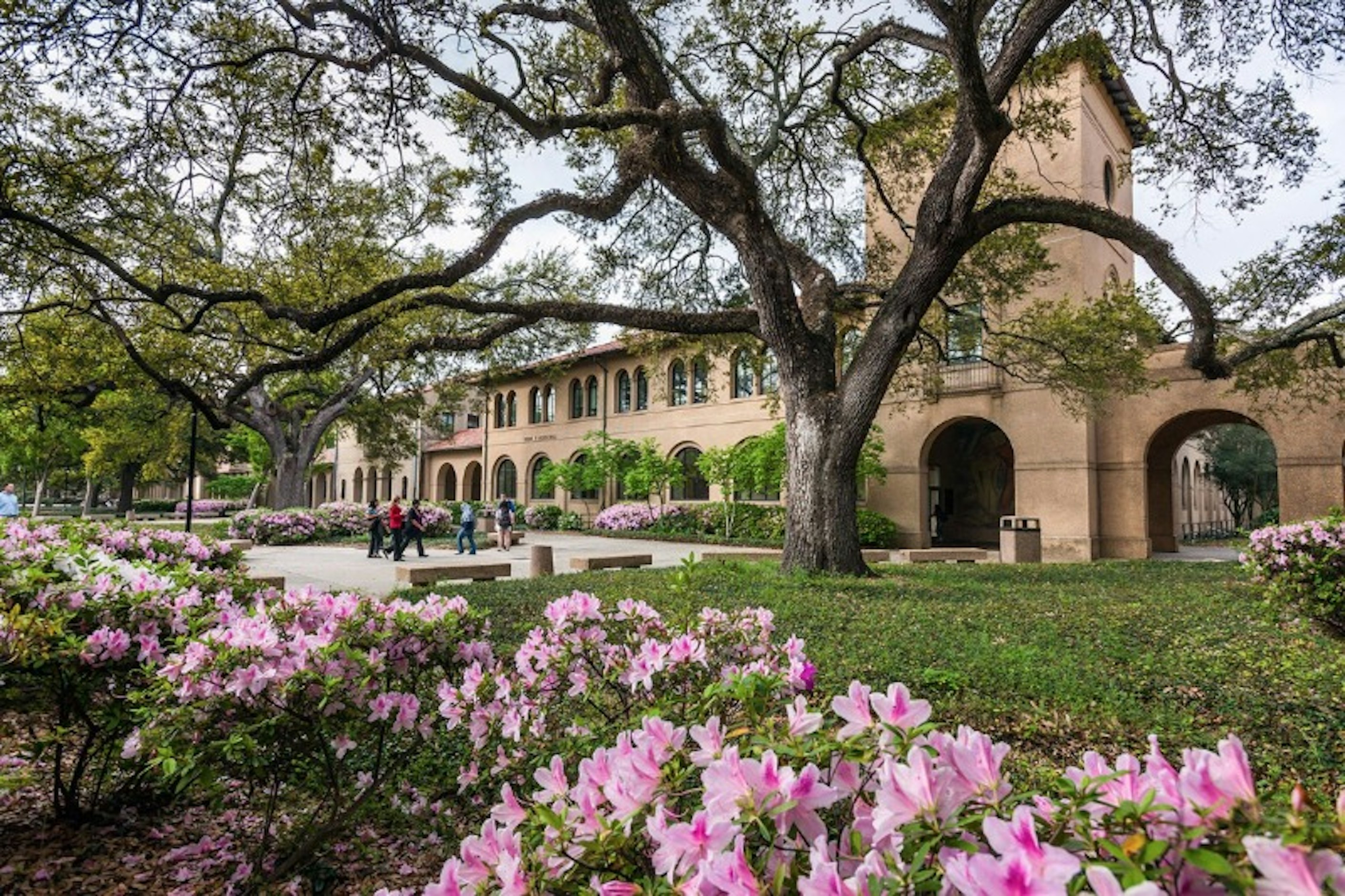 Lsu Overview Louisiana State University | LSU Tuition and Fees | CollegeVine