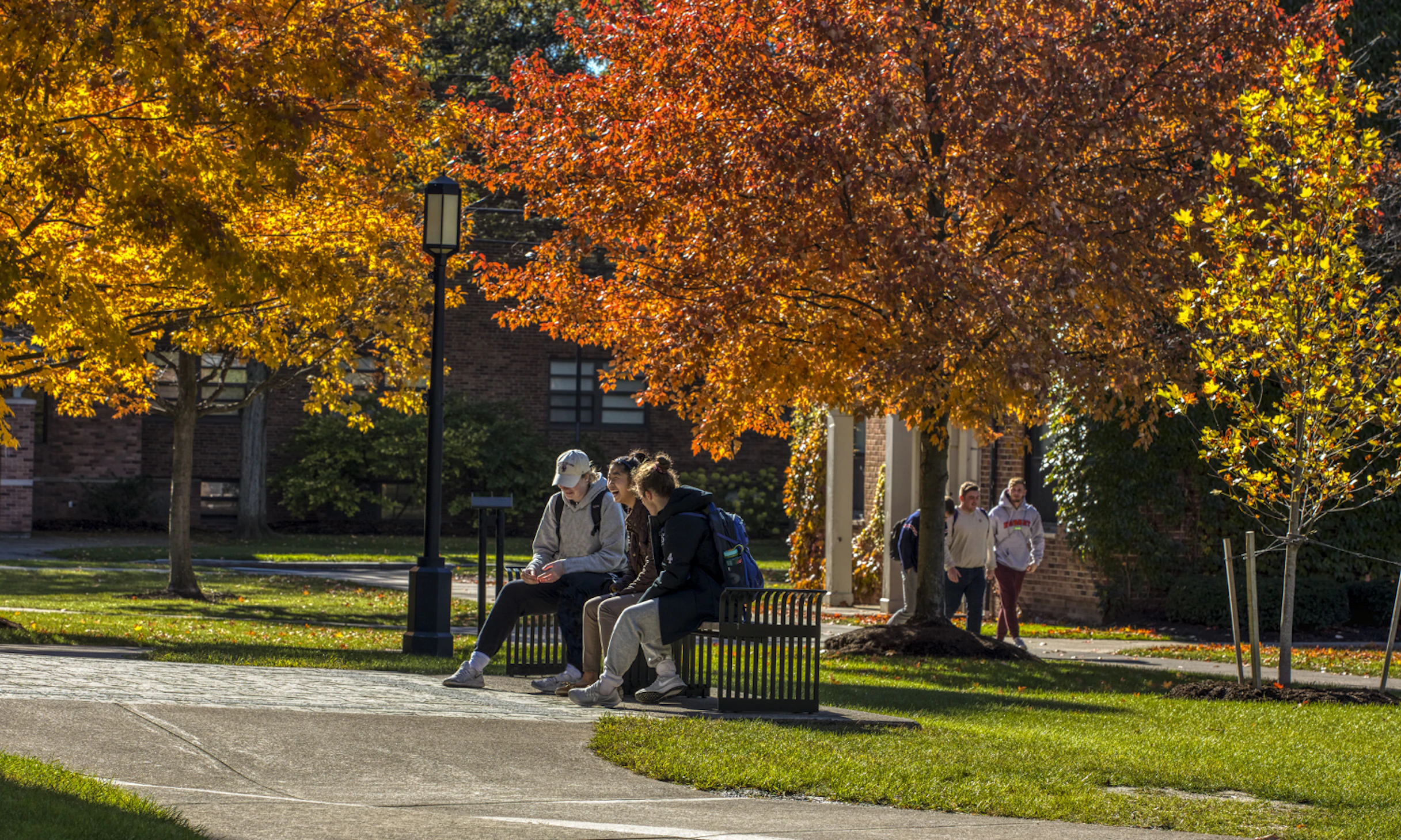 Hobart and William Smith Colleges HWS Requirements   Data CollegeVine