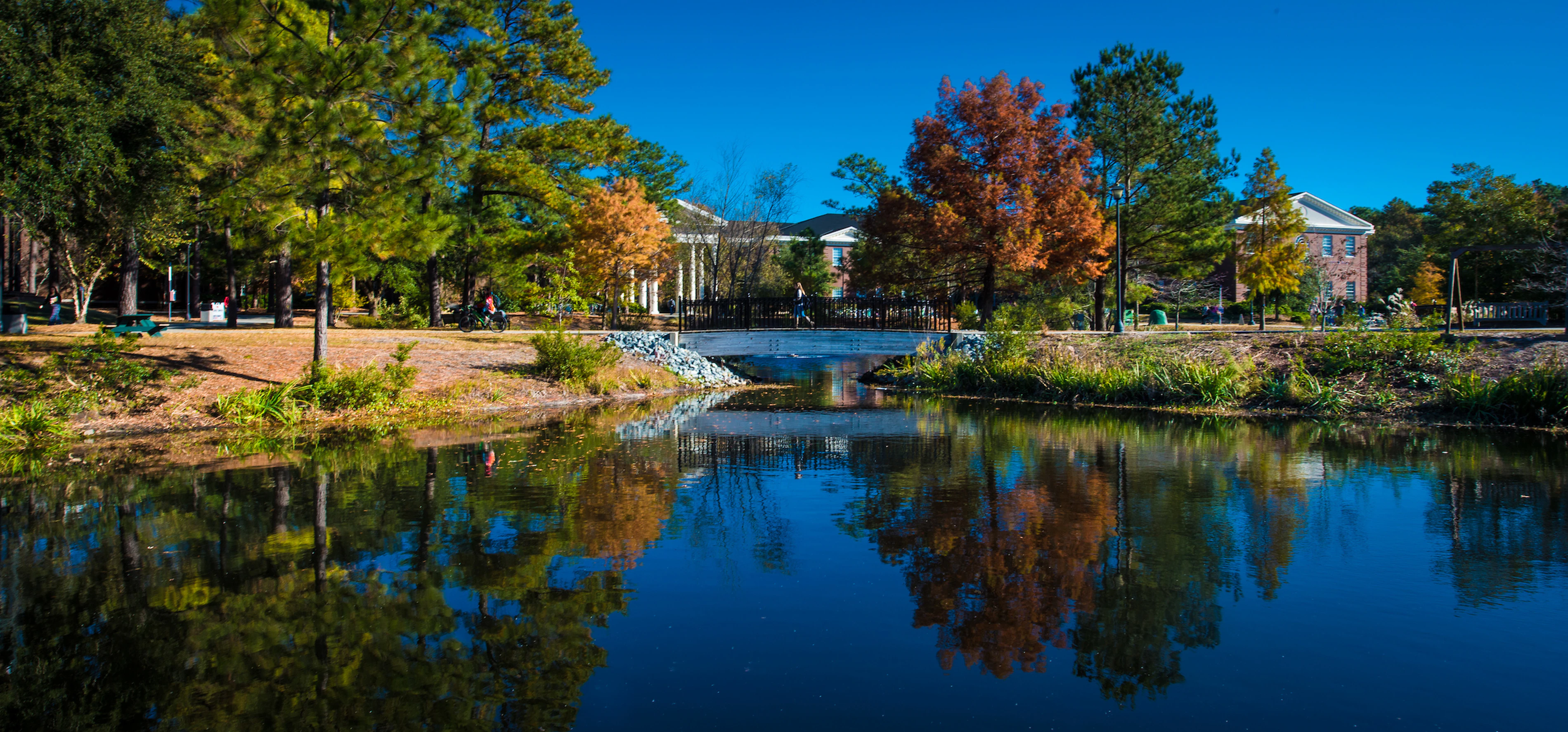 All 54 majors at University of North Carolina at Wilmington | UNC ...