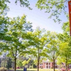 Francis Marion University campus image