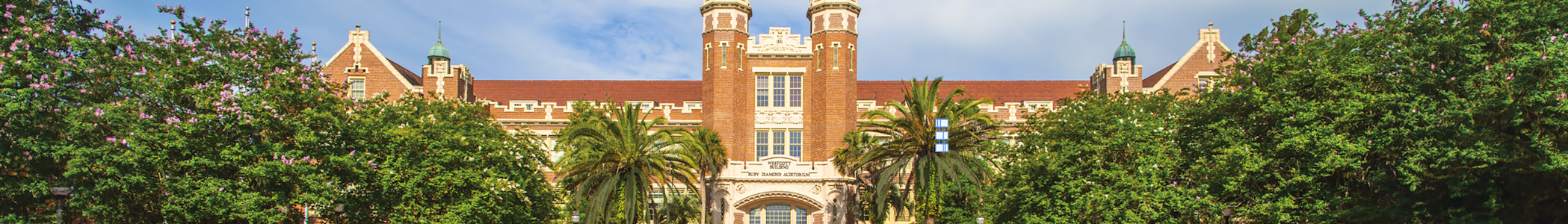 FSU Admissions | First Year | What We're Looking For florida college admission essay prompts