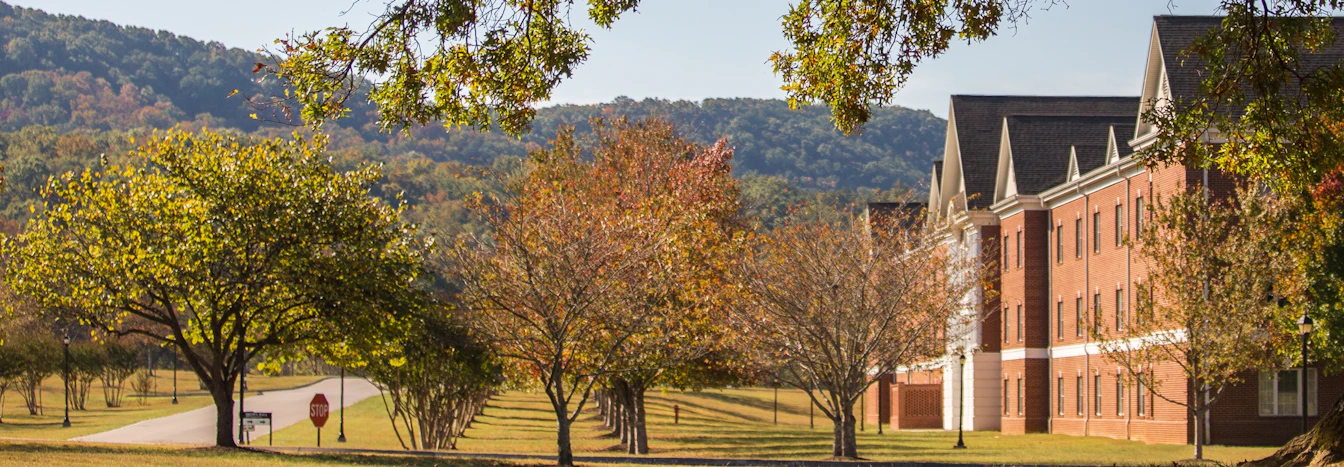 Johnson University (Tennessee) - Requirements + Data | CollegeVine