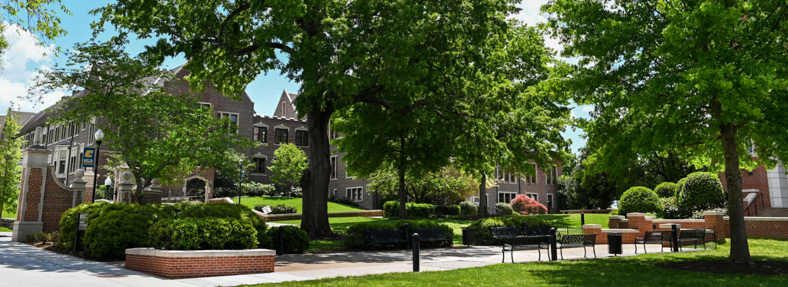 The University of Tennessee-Chattanooga - Requirements + Data | CollegeVine
