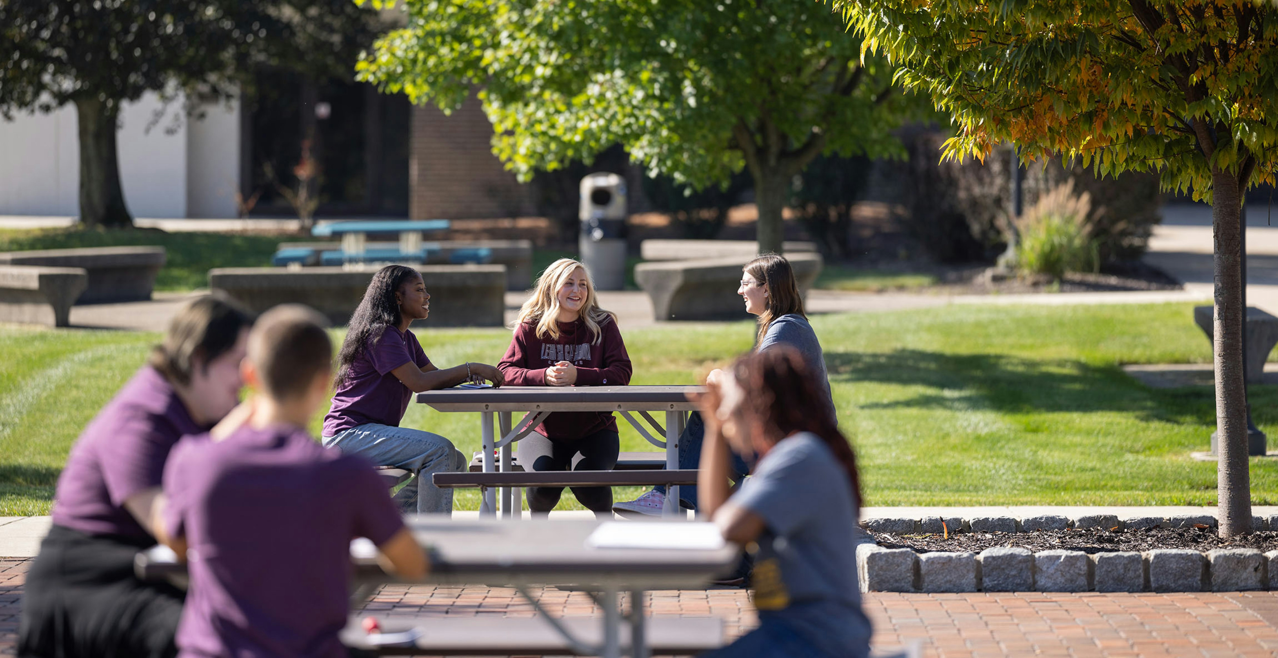 Lehigh Carbon Community College Requirements   Data CollegeVine