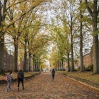 Ohio University campus image
