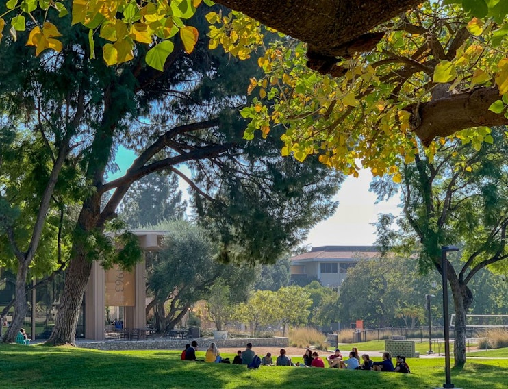 Pitzer College - Requirements + Data | CollegeVine