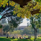 Pitzer College campus image
