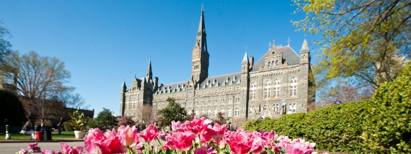 georgetown university application essay questions