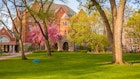 Macalester College campus image