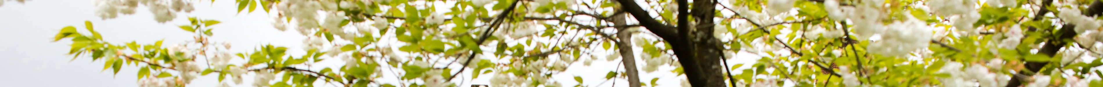 Reed College | CollegeVine