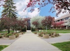 Minot State University campus image