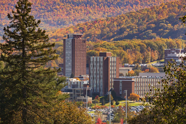 All 85 majors at Binghamton University | CollegeVine